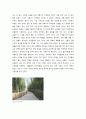 조선시대 정원 소쇄원(瀟灑園) 19페이지