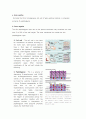 Gram Staining 5페이지