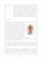 사업계획서- 맞춤헬스 피트니스센터 창업계획서 - 개요,  사업성분석, 마케팅 전략, 수익성분석 16페이지