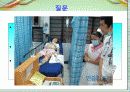 뎅기열병에 대하여 3페이지