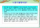 뎅기열병에 대하여 5페이지