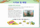 뎅기열병에 대하여 11페이지