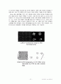 NBT(Nano-Bio Technology) 융합기술 12페이지