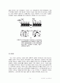 NBT(Nano-Bio Technology) 융합기술 14페이지