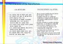 나노기술 분야 15페이지