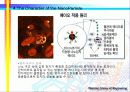 나노기술 분야 16페이지