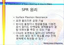 나노기술 분야 22페이지