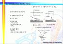 나노기술 분야 26페이지