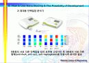 나노기술 분야 35페이지