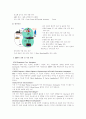 ERP의개념과ERP패키지현황 4페이지