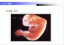 [간호학]abortion 간호학개론 6페이지