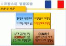 농협 및 협동조합발전방안 15페이지