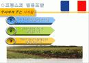 농협 및 협동조합발전방안 16페이지