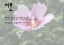 우리나라 꽃 무궁화  2페이지