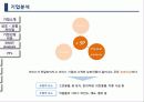 보람상조 마케팅전략과 기업경영분석(A+레포트),기업분석,SWOT Analysis 13페이지