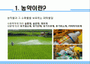 농약에 의한 생태계 피해 2페이지