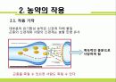 농약에 의한 생태계 피해 3페이지