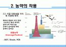 농약에 의한 생태계 피해 4페이지