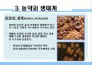농약에 의한 생태계 피해 6페이지