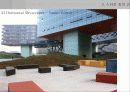 Steven Holl 20페이지