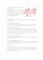 대장암케이스 11페이지