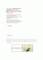 가족계획 피임 인공유산 분만교육  19페이지