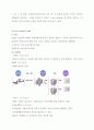 월마트의 물류관리시스템 5페이지