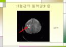 운동과건강 14페이지