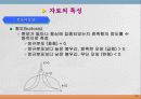 통계학입문 42페이지