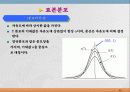 통계학입문 65페이지