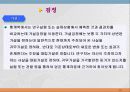통계학입문 77페이지