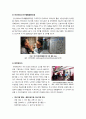 [사회적기업]따뜻한 자본주의 사회적기업의 모든 것 - 사회적 기업의 정의 및 등장 배경, 운영 현황, 사례 소개, 해결과제 등 10페이지