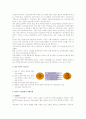 [경영]ERP의개념과ERP패키지현황 8페이지