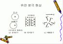 절연체에 대하여 13페이지