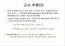 퍼지논리에 대한 이해 53페이지