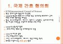 간호관련 국제조직 3페이지