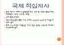 간호관련 국제조직 13페이지