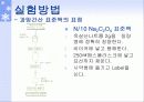 과망간산_표정_및_적정_(철_정량)_최종본 11페이지