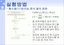 과망간산_표정_및_적정_(철_정량)_최종본 21페이지