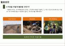 [산악자전거] 산악자전거의 소개와 산악자전거 활성화 방안 10페이지