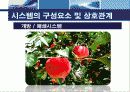 [MIS] MIS의 개념, 다른 시스템과 관계, 특징, MIS의 접근방법, 시스템이론등 22페이지