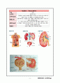 case study-ESRD 3페이지