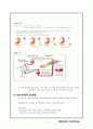 case study-ESRD 11페이지