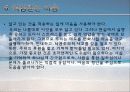 마음 탐구(발표) 20페이지