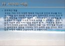 마음 탐구(발표) 25페이지