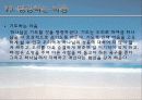 마음 탐구(발표) 35페이지