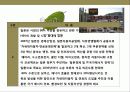 자동차 산업의 현황및 산업 경쟁력 강화 전략 27페이지