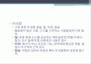 운동검사_및_처방_4-2010 27페이지