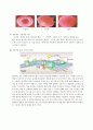 삼투와_물질이동(예비) 3페이지