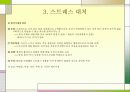 교육심리：적응과 스트레스 10페이지